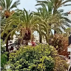 Beach Old Town Appartement Estepona